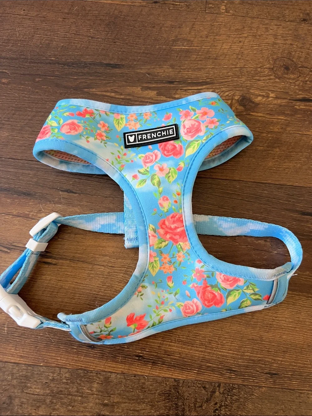 Frenchie stylish blue